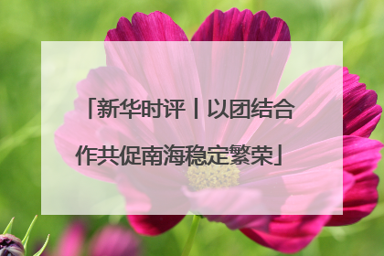 新华时评丨以团结合作共促南海稳定繁荣