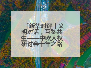 新华时评丨文明对话，互鉴共生——中欧人权研讨会十年之路的深刻启示