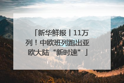 新华鲜报丨11万列！中欧班列跑出亚欧大陆“新时速”
