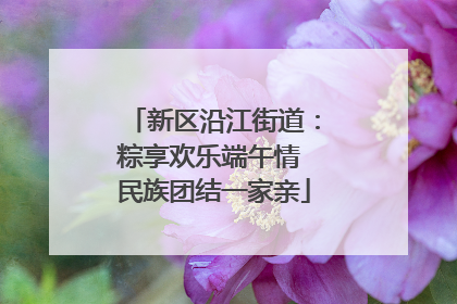 新区沿江街道：粽享欢乐端午情 民族团结一家亲