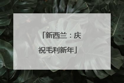 新西兰：庆祝毛利新年