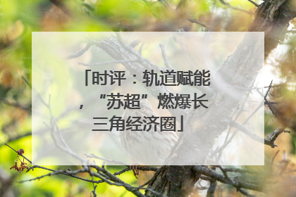时评：轨道赋能，“苏超”燃爆长三角经济圈