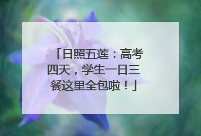 日照五莲：高考四天，学生一日三餐这里全包啦！