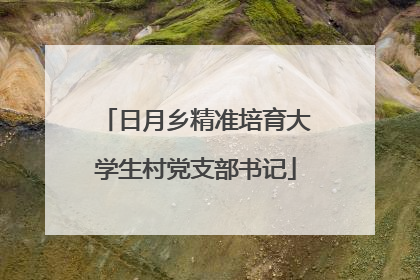 日月乡精准培育大学生村党支部书记