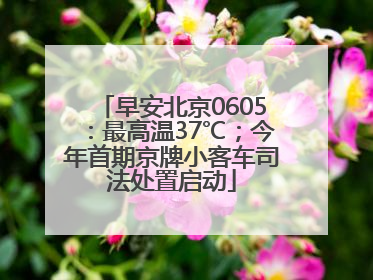 早安北京0605：最高温37℃；今年首期京牌小客车司法处置启动