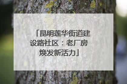 昆明莲华街道建设路社区：老厂房焕发新活力