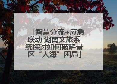 智慧分流+应急联动 湖南文旅系统探讨如何破解景区“人海”困局