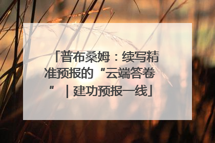 普布桑姆：续写精准预报的“云端答卷”｜建功预报一线