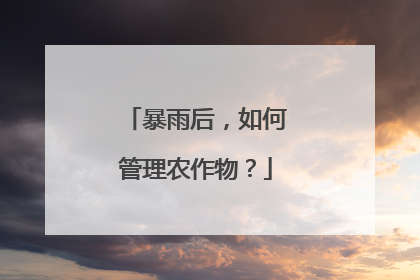 暴雨后，如何管理农作物？