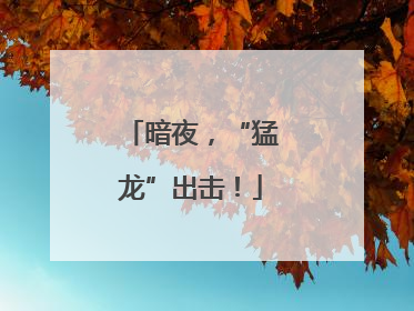 暗夜，“猛龙”出击！