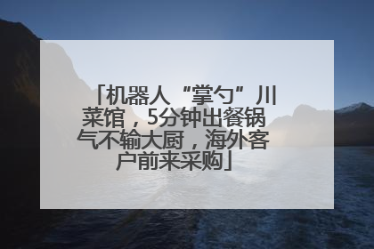 机器人“掌勺”川菜馆，5分钟出餐锅气不输大厨，海外客户前来采购