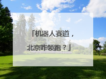 机器人赛道，北京咋领跑？