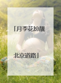 月季花扮靓北京道路