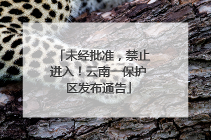 未经批准，禁止进入！云南一保护区发布通告