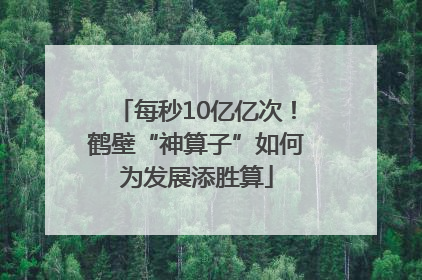 每秒10亿亿次！鹤壁“神算子”如何为发展添胜算