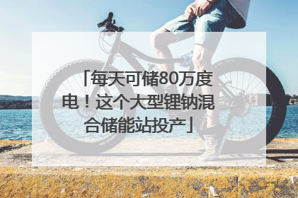 每天可储80万度电！这个大型锂钠混合储能站投产