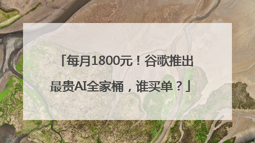 每月1800元！谷歌推出最贵AI全家桶，谁买单？