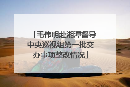 毛伟明赴湘潭督导中央巡视组第一批交办事项整改情况