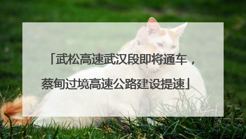 武松高速武汉段即将通车，蔡甸过境高速公路建设提速