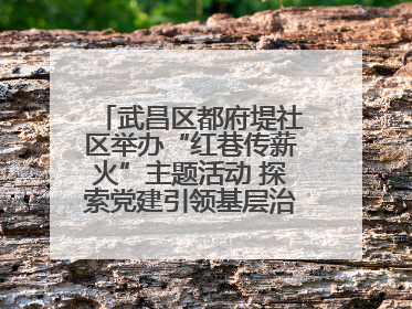 武昌区都府堤社区举办“红巷传薪火”主题活动 探索党建引领基层治理新路径
