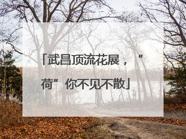 武昌顶流花展，“荷”你不见不散