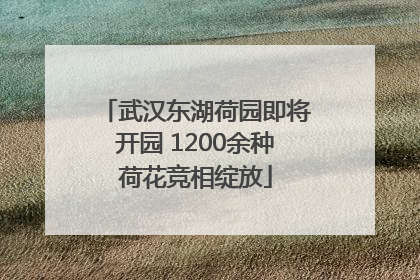 武汉东湖荷园即将开园 1200余种荷花竞相绽放