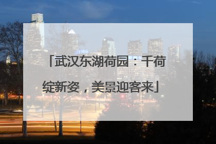 武汉东湖荷园：千荷绽新姿，美景迎客来