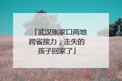 武汉张家口两地跨省接力，走失的孩子回家了