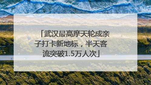 武汉最高摩天轮成亲子打卡新地标，半天客流突破1.5万人次