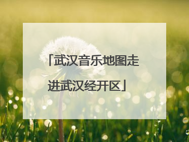 武汉音乐地图走进武汉经开区