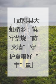 武陟县大虹桥乡：筑牢禁烧“防火墙” 守护夏粮好“丰”景