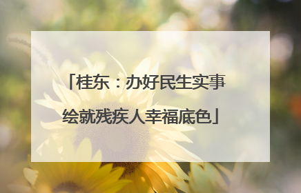 桂东：办好民生实事 绘就残疾人幸福底色