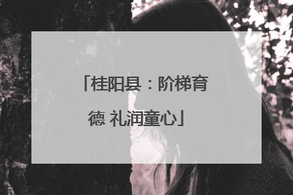桂阳县：阶梯育德 礼润童心