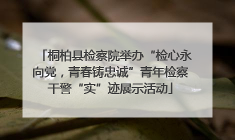 桐柏县检察院举办“检心永向党，青春铸忠诚”青年检察干警“实”迹展示活动