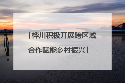 桦川积极开展跨区域合作赋能乡村振兴