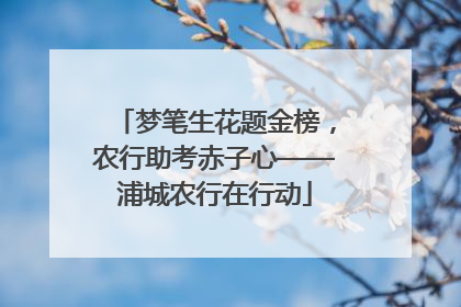 梦笔生花题金榜，农行助考赤子心——浦城农行在行动
