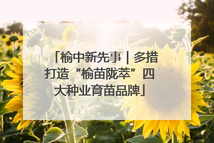榆中新先事｜多措打造“榆苗陇萃”四大种业育苗品牌