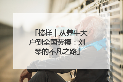 榜样｜从养牛大户到全国劳模：刘琴的不凡之路