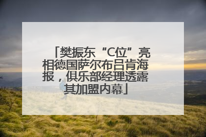 樊振东“C位”亮相德国萨尔布吕肯海报，俱乐部经理透露其加盟内幕