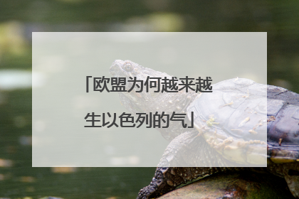 欧盟为何越来越生以色列的气