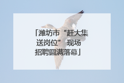 潍坊市“赶大集 送岗位” 现场招聘圆满落幕