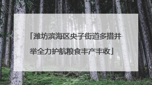 潍坊滨海区央子街道多措并举全力护航粮食丰产丰收