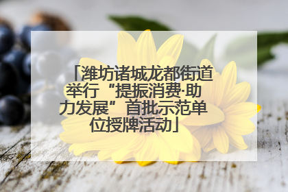 潍坊诸城龙都街道举行“提振消费·助力发展”首批示范单位授牌活动