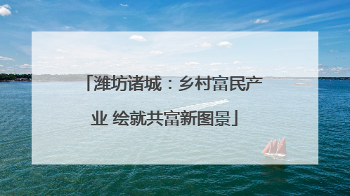 潍坊诸城：乡村富民产业 绘就共富新图景