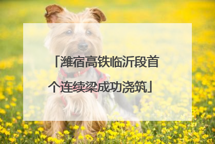 潍宿高铁临沂段首个连续梁成功浇筑