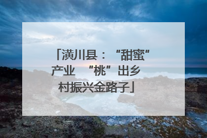 潢川县：“甜蜜”产业  “桃”出乡村振兴金路子