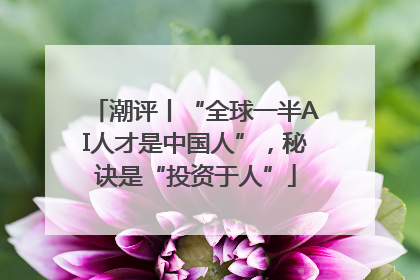 潮评丨“全球一半AI人才是中国人”，秘诀是“投资于人”