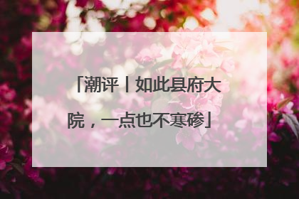 潮评丨如此县府大院，一点也不寒碜
