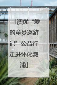 澳优“爱的童梦巡游记”公益行走进怀化溆浦