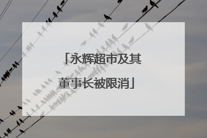 永辉超市及其董事长被限消